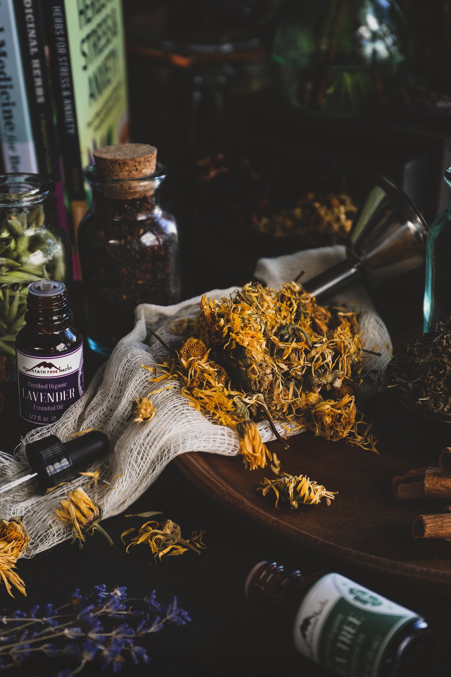 A Beginner's Guide to Herbalism